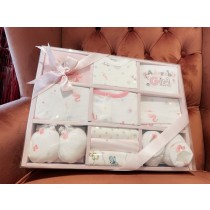 新生BABY禮盒10件組 二色